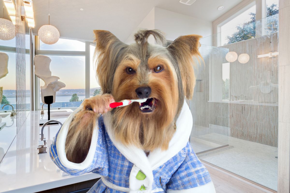 Bad Dog Breath: A Sign of Bigger Problems! - Hemp Well