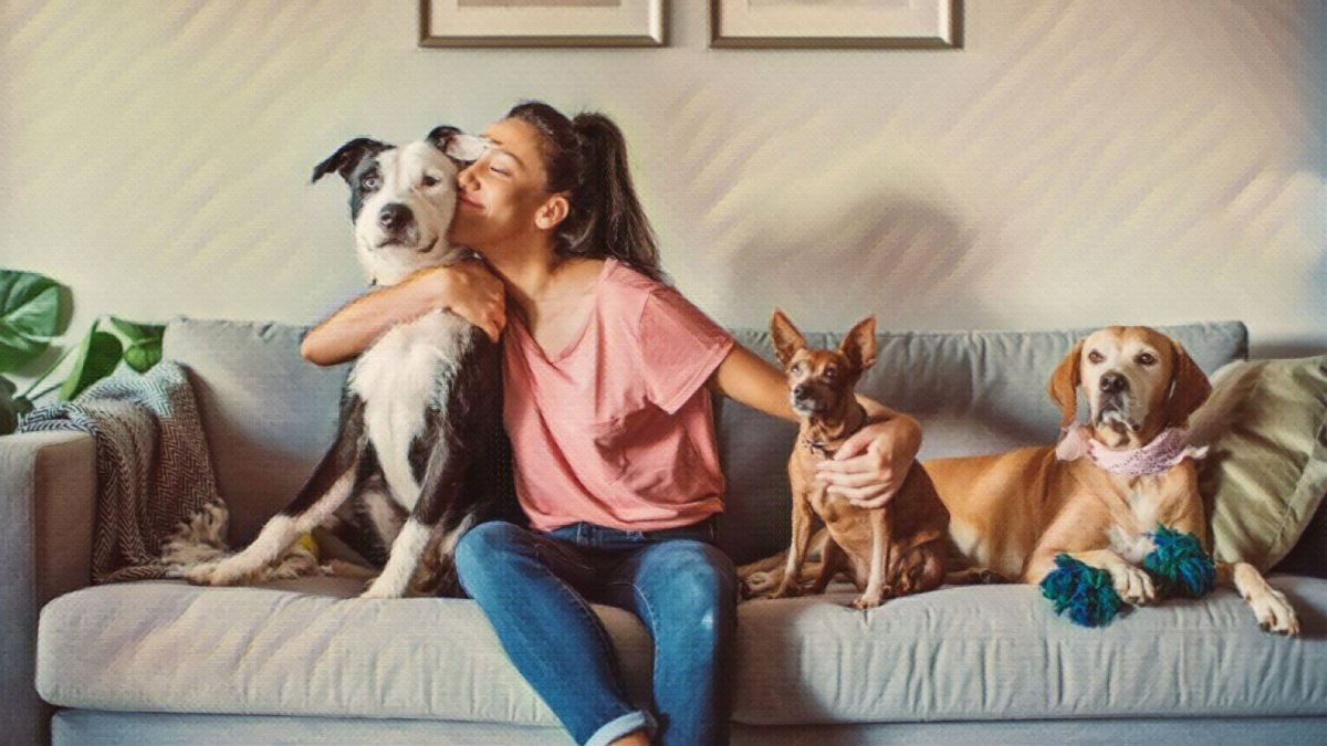 CBD Absolutely Helps Pets But Not For the Reason You Think - Hemp Well