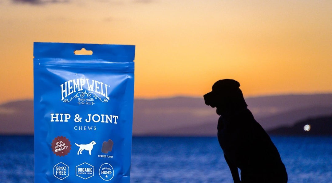 Discover the Benefits of Hemp Well Hip & Joint Soft Chews for Dogs