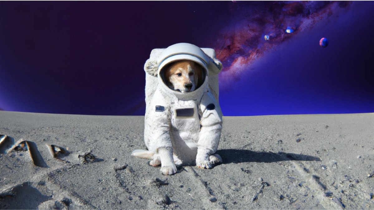 Dogs In Space Suit On The Moon dogs-in-space-suit-on-the-moon