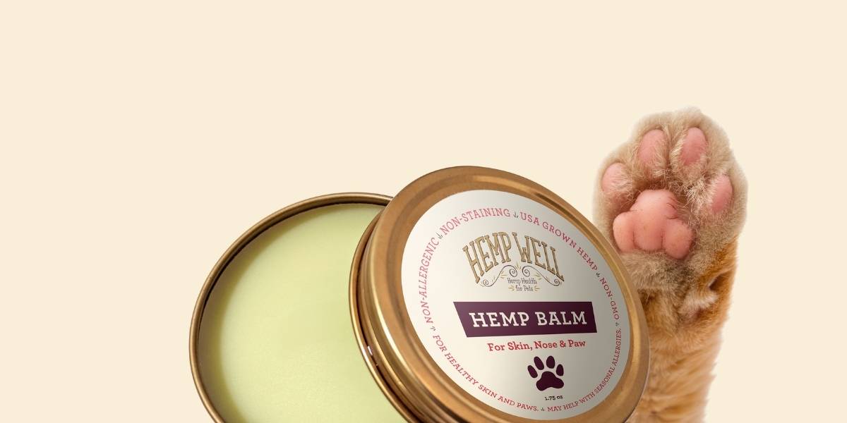 Dry Winter Skin, Noses and Paws Meet Hemp Well Balm - Hemp Well