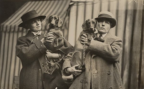 Exploring the Wonderful World of Dog Breeds: A Brief Overview - Hemp Well