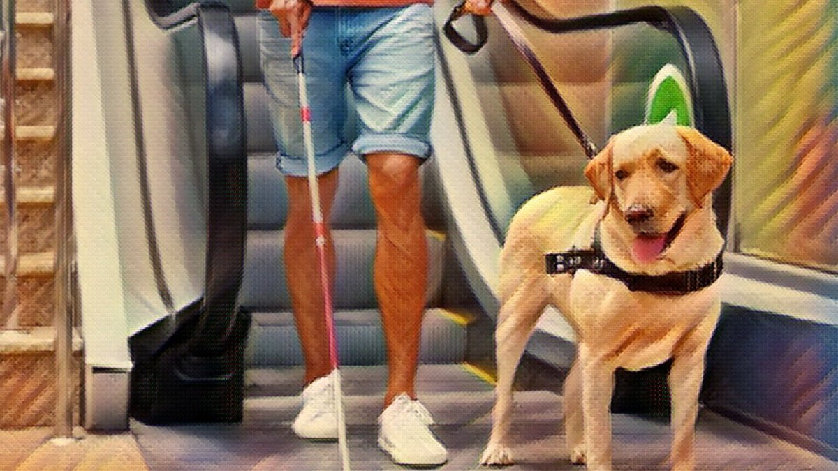 From Security to Assistance: The Top 8 Jobs Performed by Dogs - Hemp Well