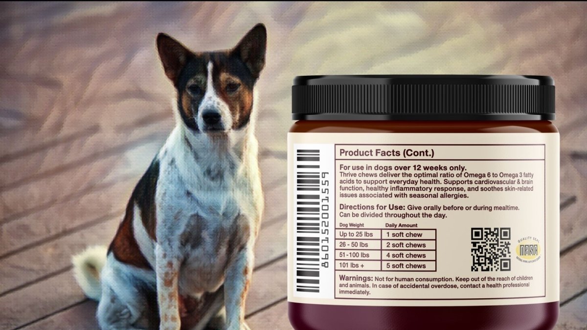 How many CBD treats per day for a dog? - Hemp Well