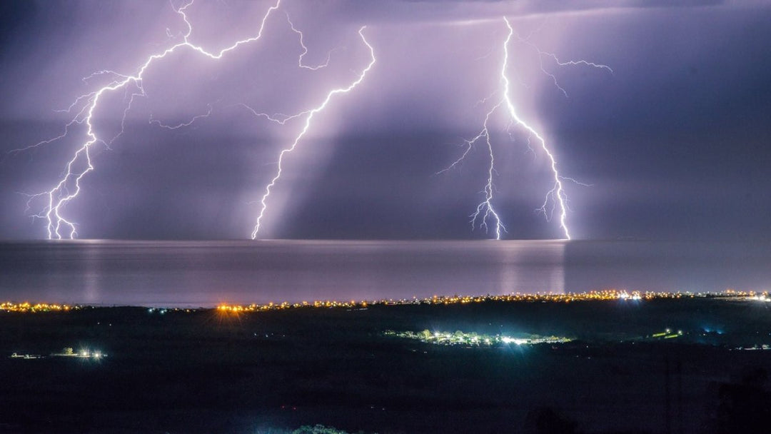 How to calm a dog down in a storm?