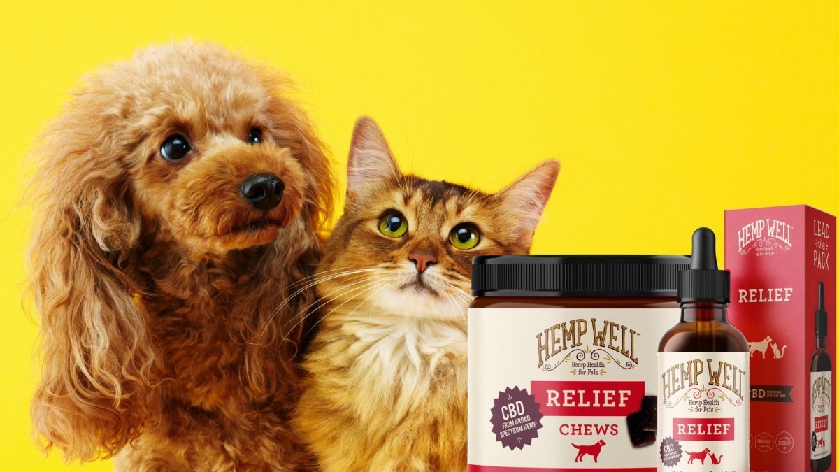 Is CBD oil for pets safe? 90% continue to use cheap fillers - Hemp Well