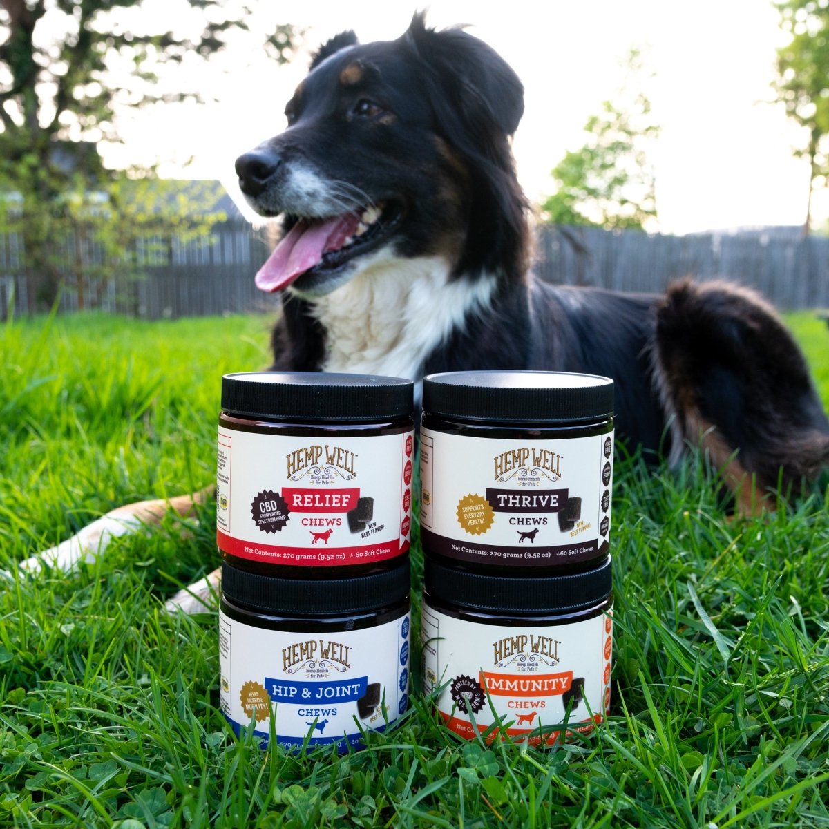 Lead Your Pack With Hemp Well s Premium Pet Products