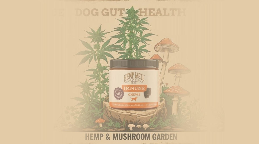 Support Your Dog’s Health with Hemp Well Immune Soft Chews!