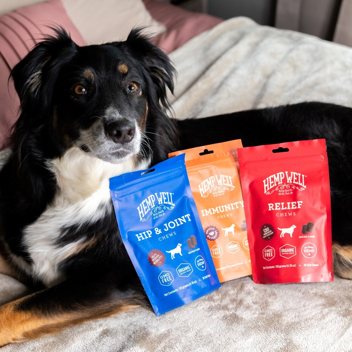 Top CBD Brands Available for Pets - Hemp Well