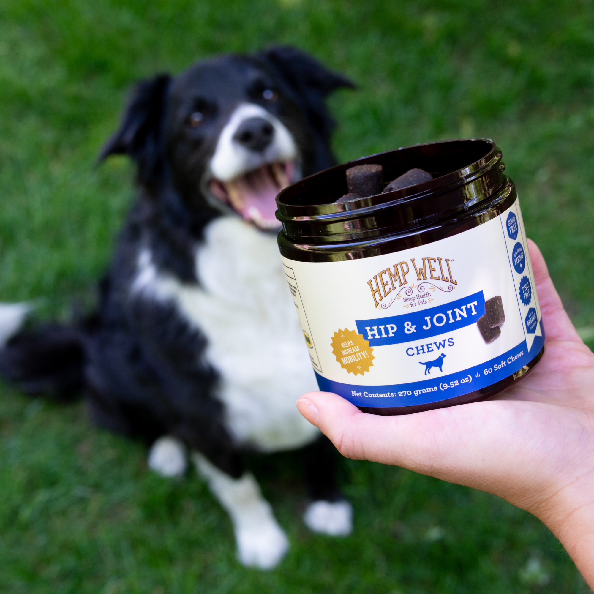 CBD for Dogs - Hemp Well