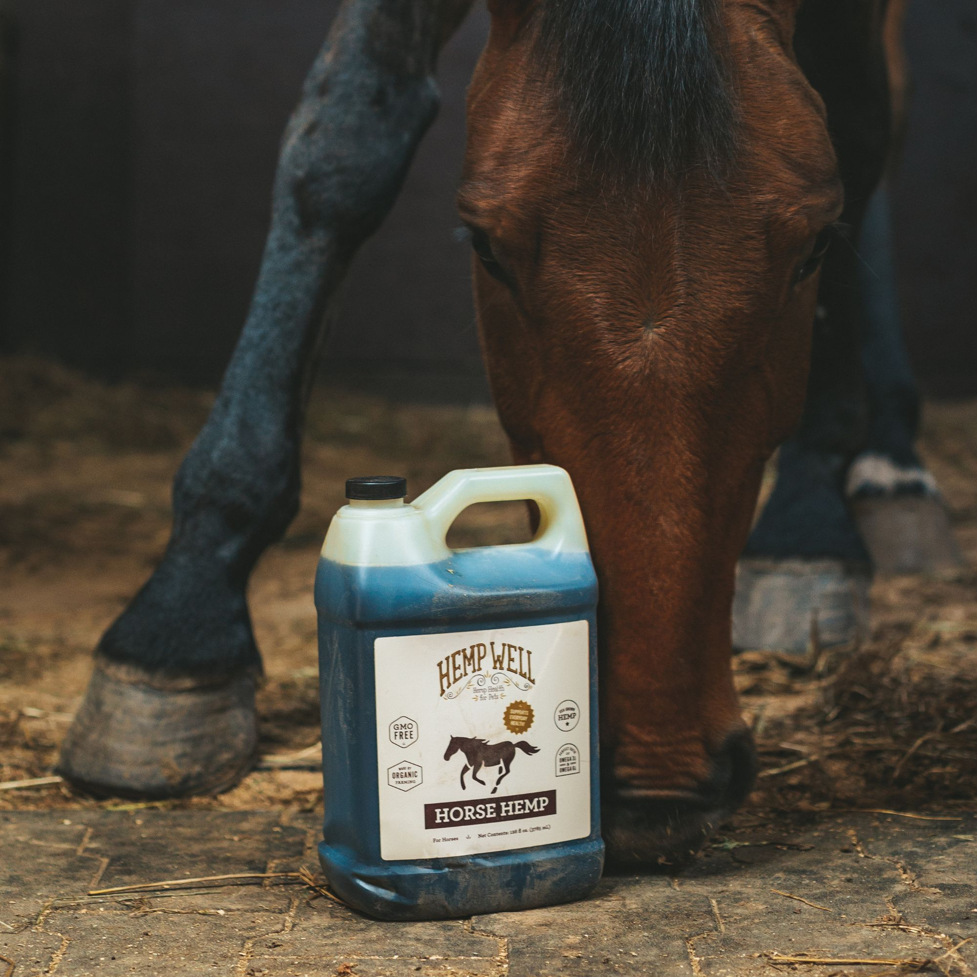 CBD for Horse - Hemp Well
