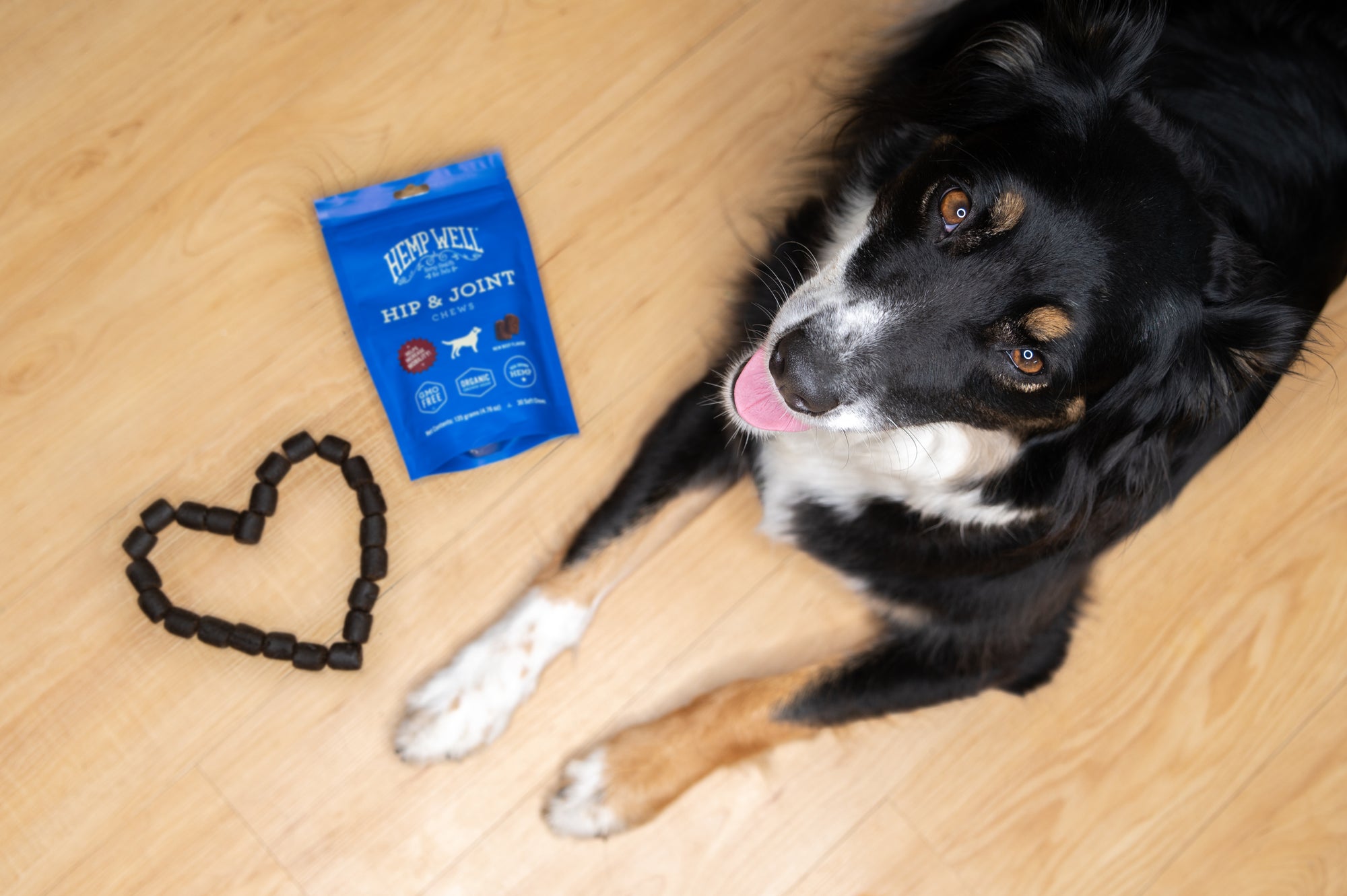 Hemp Health for pets