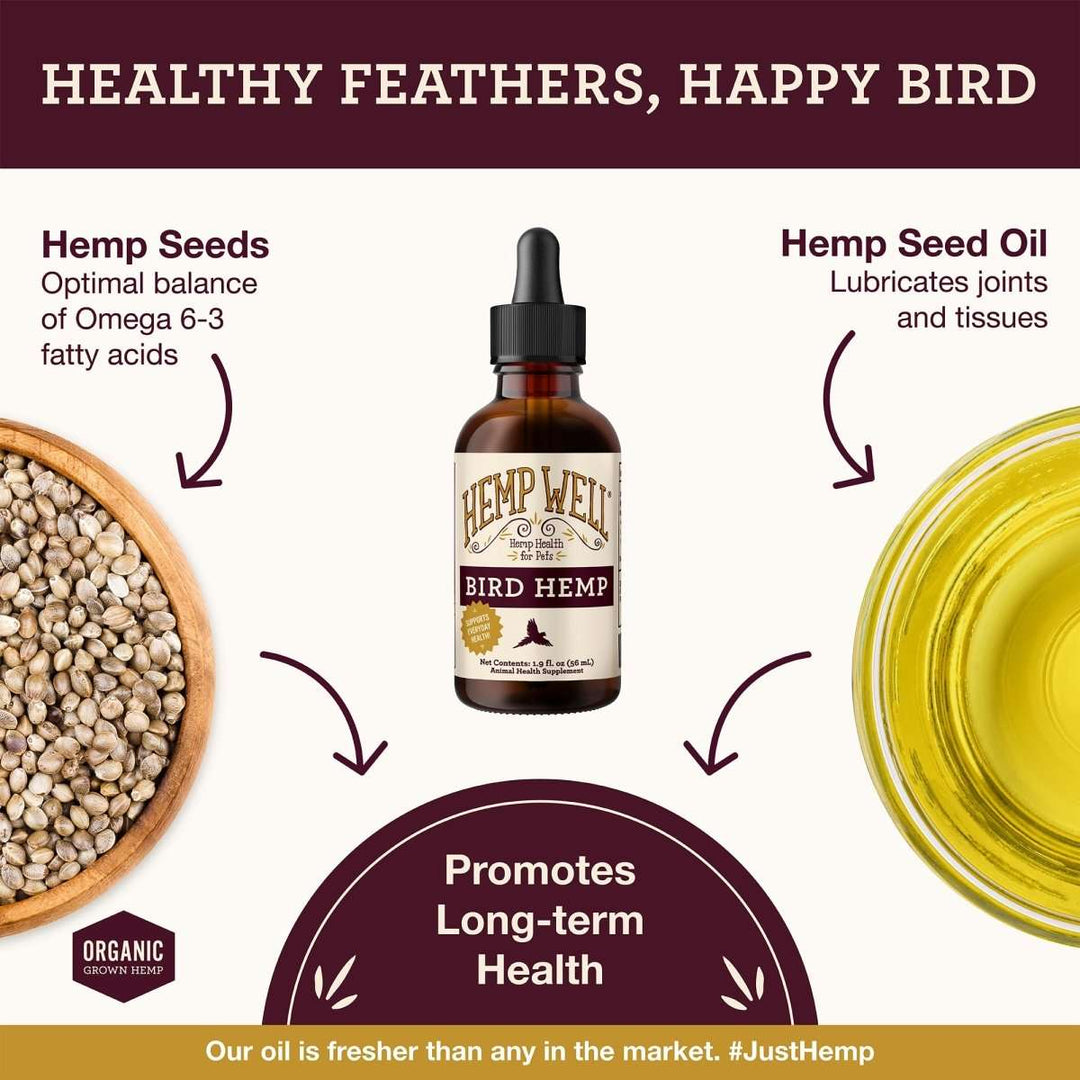 Bird Hemp Oil - Hemp Well avian hemp products bird bird health supplements