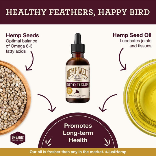 Bird Hemp Oil - Hemp Well avian hemp products bird bird health supplements