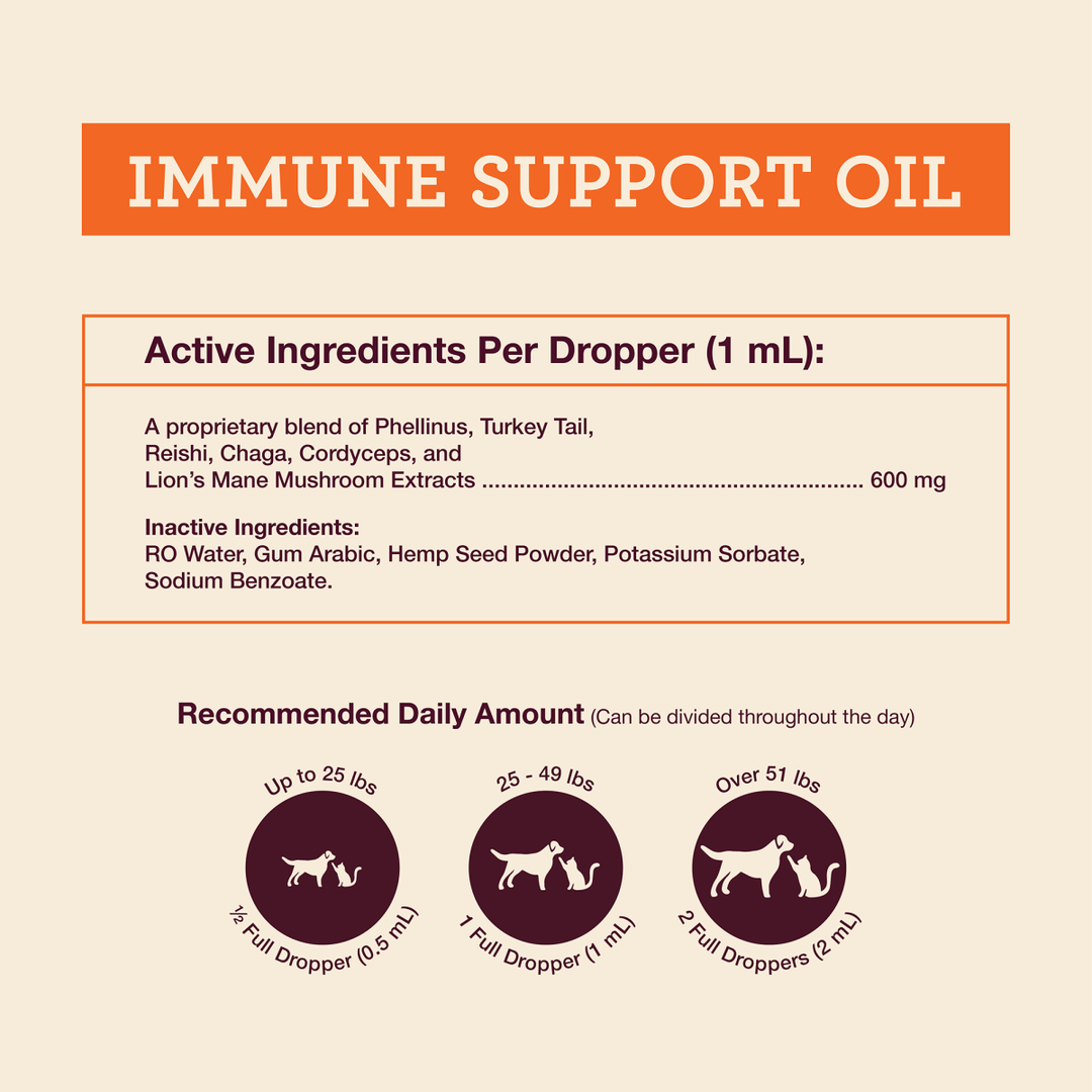 Cat Digestive Aid Combo - Hemp Well cat cat relief cats