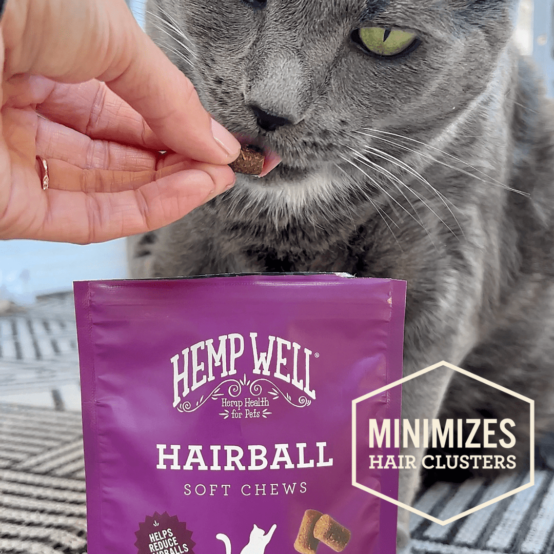 Cat Hairball Soft Chews - Hemp Well calm calming cat tag4 organic over 1,000,000 pets love Hemp Well