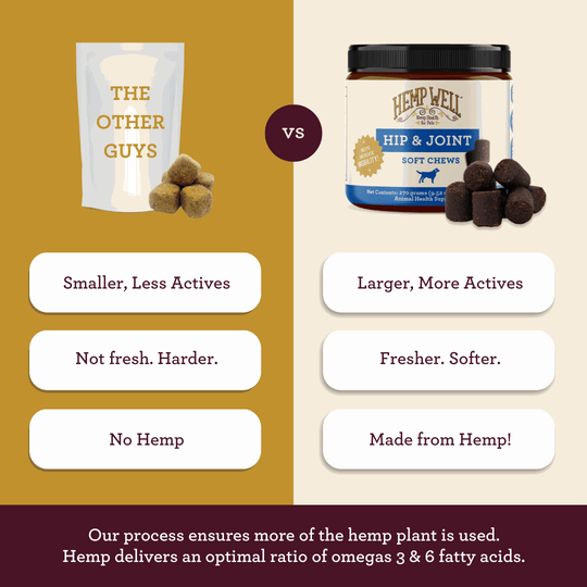 Hip & Joint Dog Soft Chews - Hemp Well dog hip Hip Joint Dog