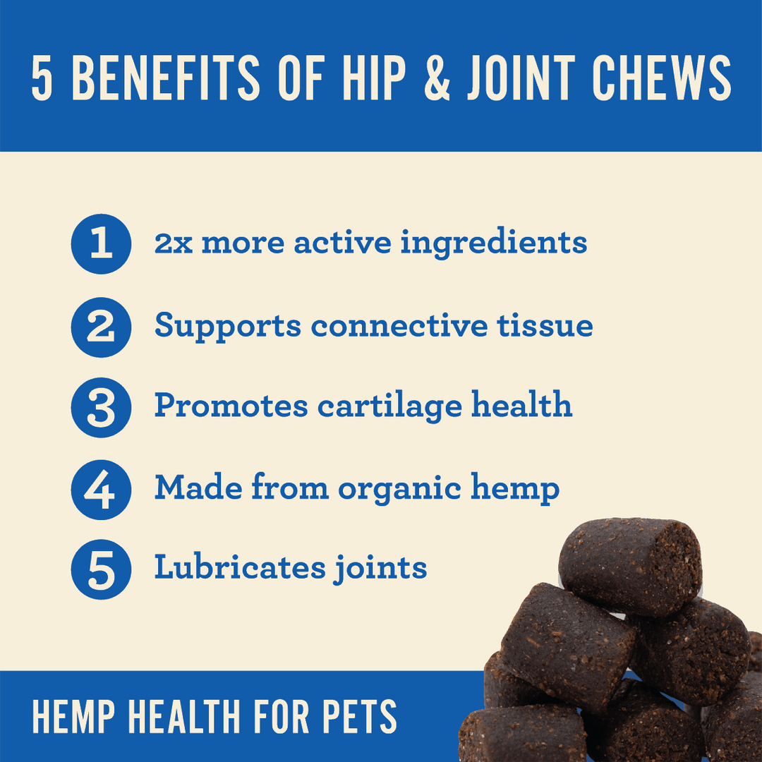 Hip & Joint Dog Soft Chews - Hemp Well dog hip Hip Joint Dog