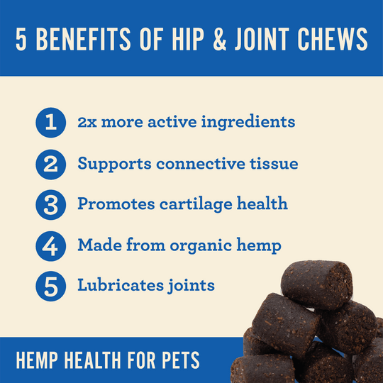 Hip & Joint Dog Soft Chews - Hemp Well dog hip Hip Joint Dog