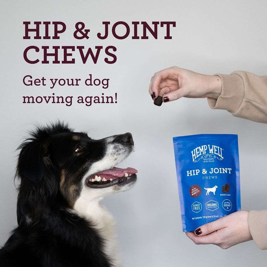 Hip & Joint Dog Soft Chews - Organic, USA Grown - Hemp Well dog hip Hip Joint Dog tag4 organic over 1,000,000 pets love Hemp Well
