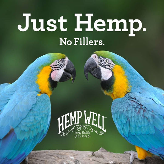 Bird Hemp Oil - Hemp Well avian hemp products bird bird health supplements
