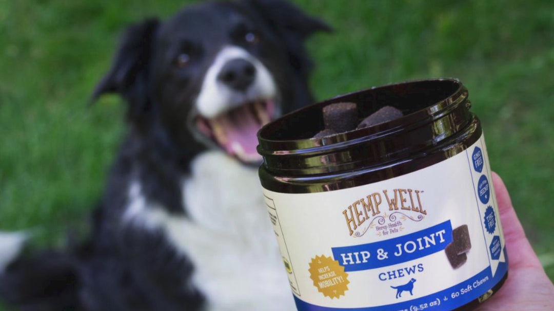 Hip & Joint Dog Soft Chews | Daily Mobility Support