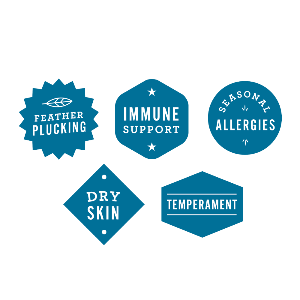 Bird Hemp Oil - Hemp Well avian hemp products bird bird health supplements