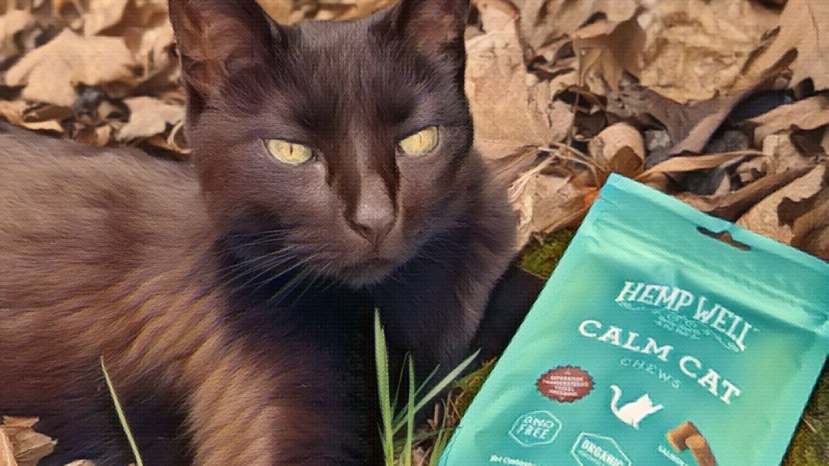 200 Times More Hemp In Our Pet Soft Chews - Hemp Well
