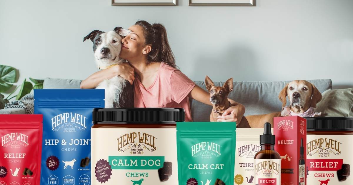 8 things you can do to help your dog live a longer and healthier life! - Hemp Well