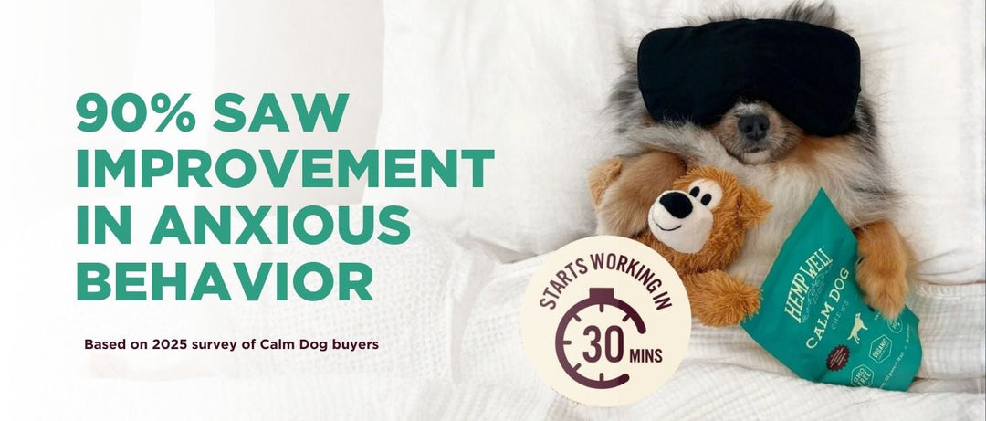 Hemp Well vs Penelope’s Bloom & Holistapet: Choosing the Best CBD for Pets