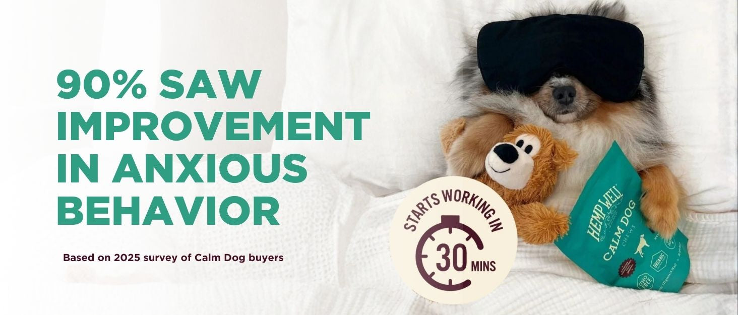 Hemp Well vs Penelope’s Bloom & Holistapet: Choosing the Best CBD for Pets