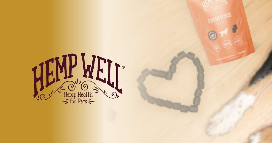 🐾 Why Hemp Well’s Immune Chews Matter?