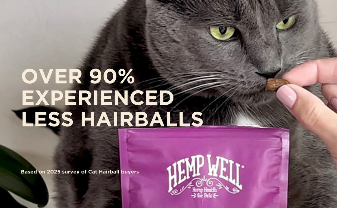 CBD for Cats: The Complete Guide