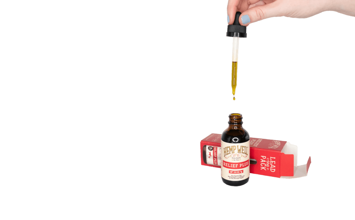 Best CBD oil for cats