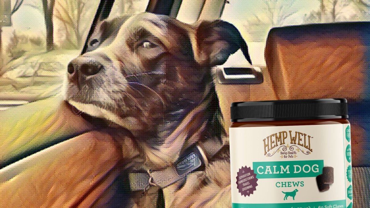 Calming Treats for Dogs: 30 Minutes to Relaxation - Hemp Well