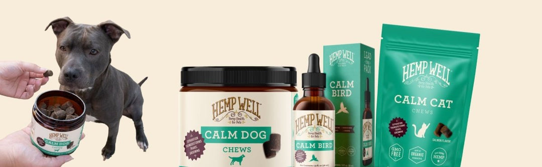 Calming Treats for Dogs Reviews