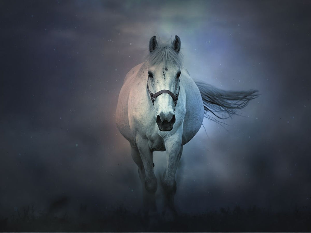 Can Hemp Well Benefit Horse Health?