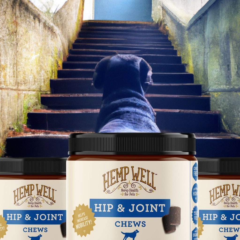 CBD dog treats for joint pain Hemp Well