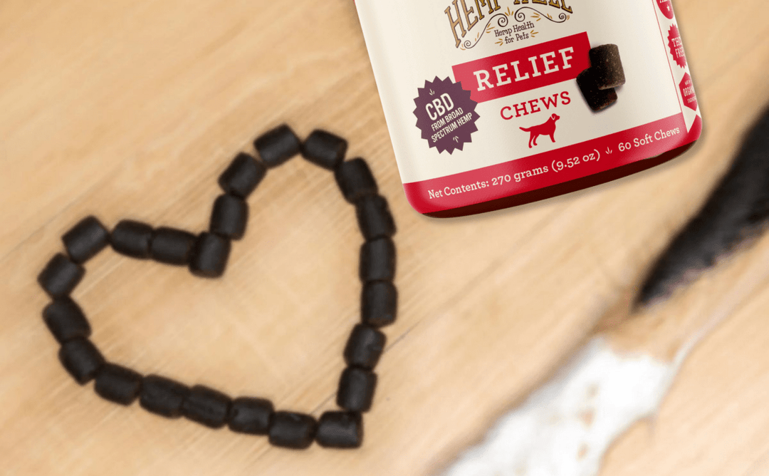 CBD Dog Treats for Joint Pain & Everyday Comfort