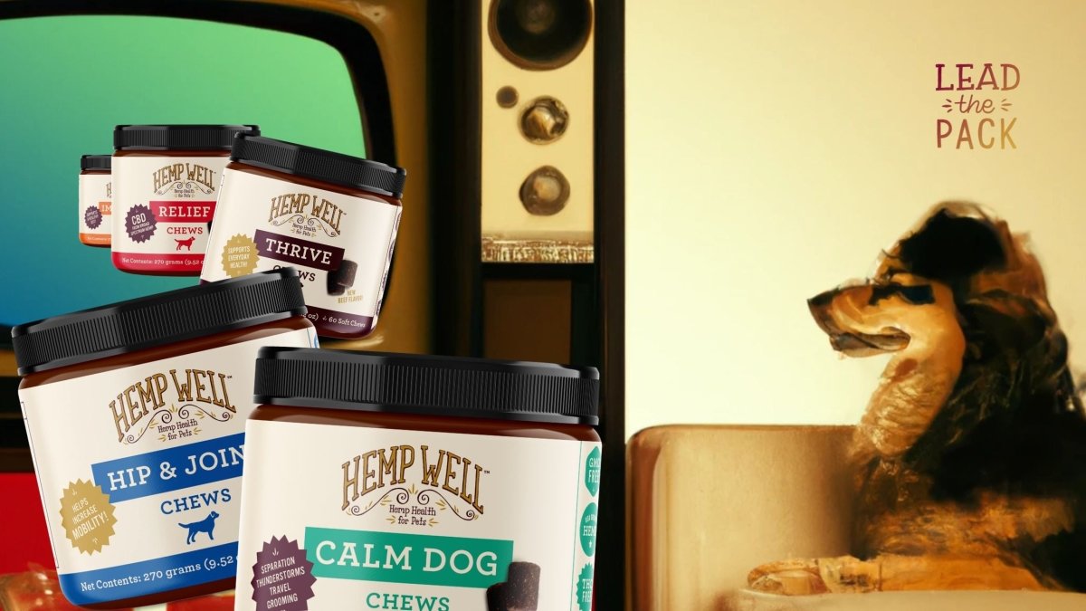 CBD dog treats near me: 6 wildly different places to score some - Hemp Well