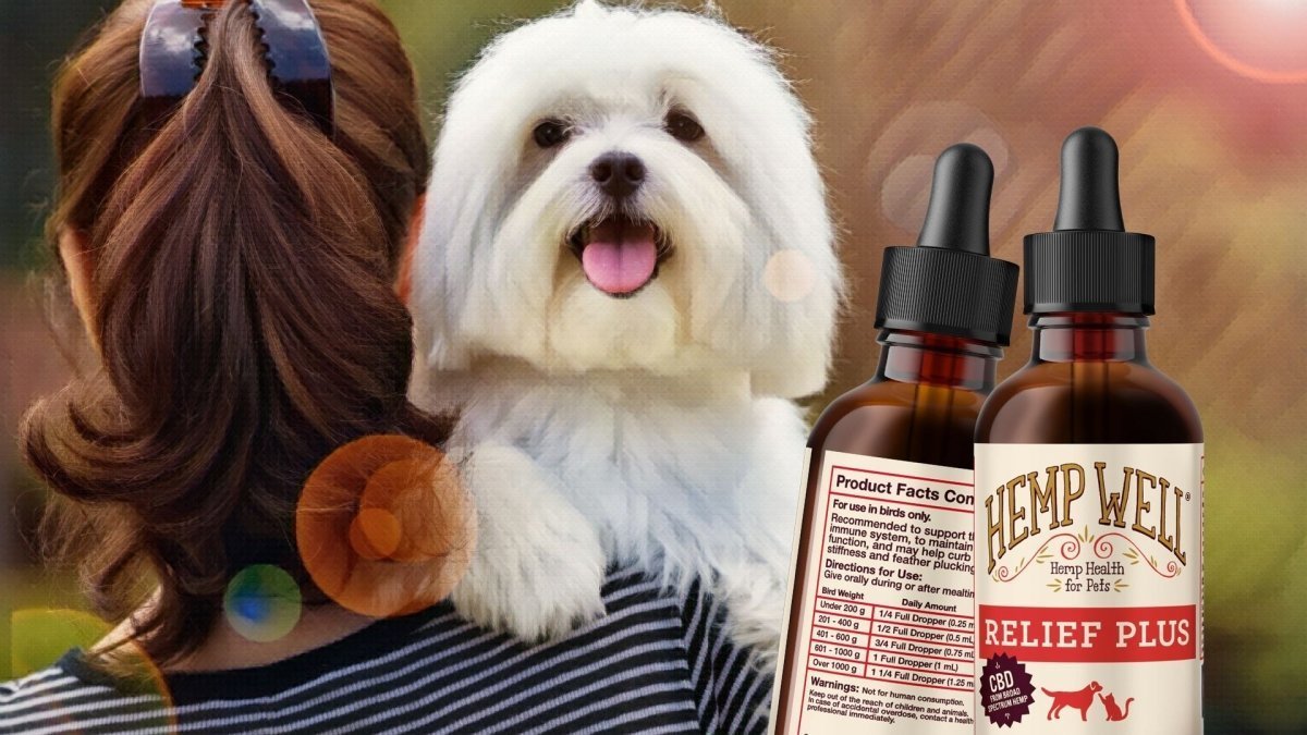 Does CBD oil expire? - Hemp Well