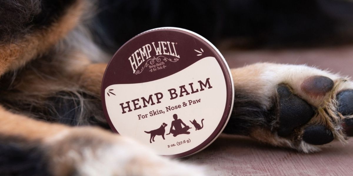 dog skin and paw protection