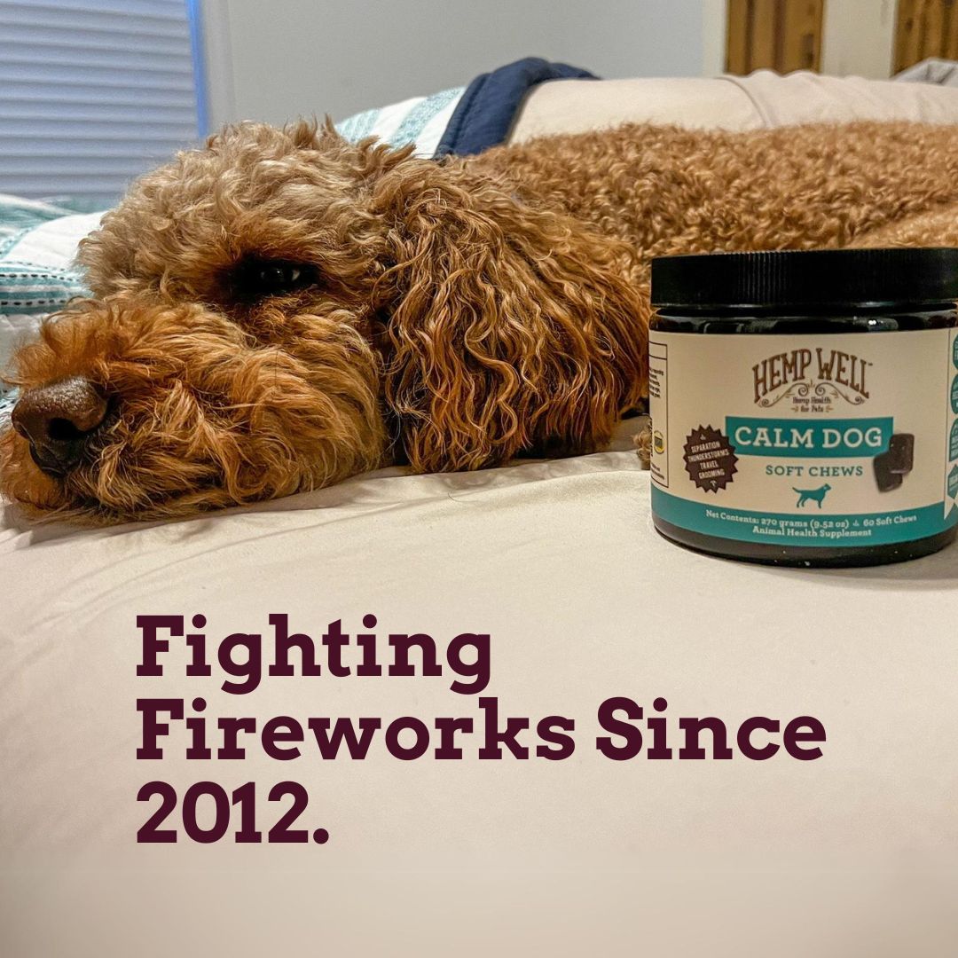Dog Scared of Fireworks? A 4th of July Calm Plan