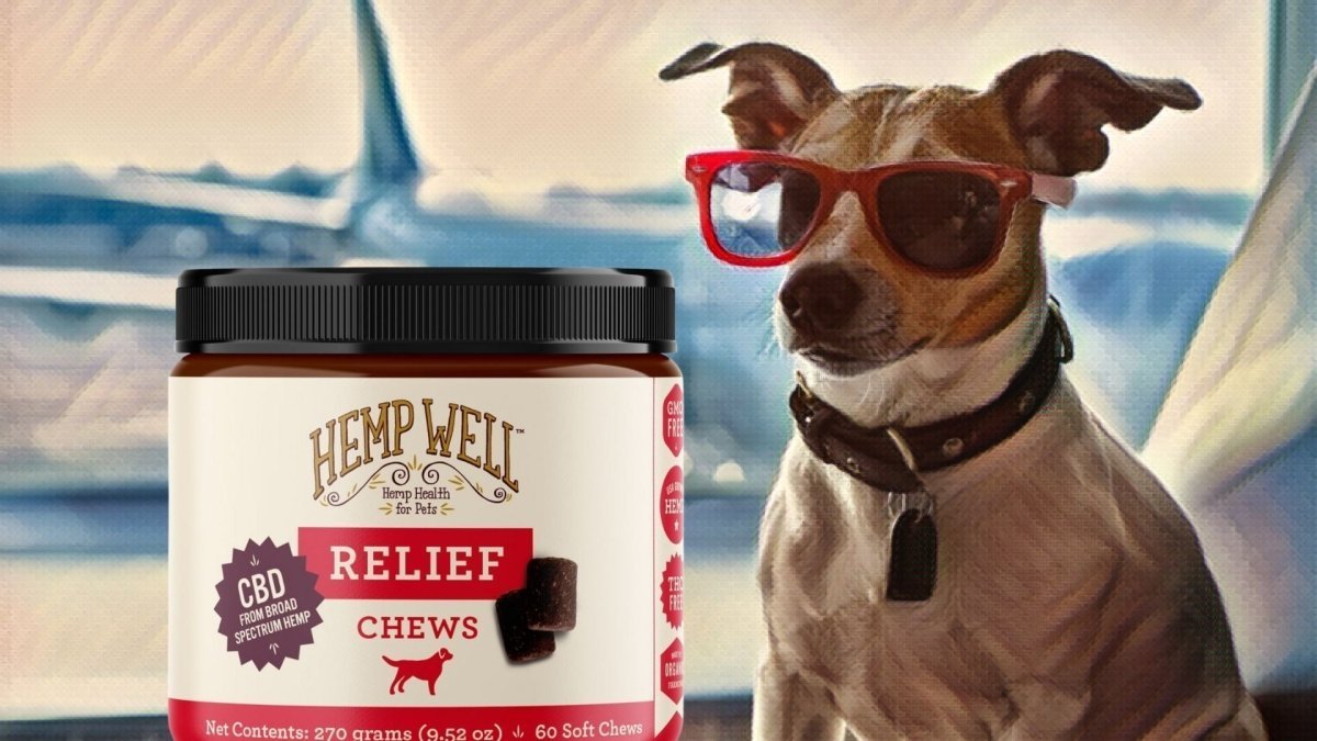 Flying with CBD: What you need to know - Hemp Well