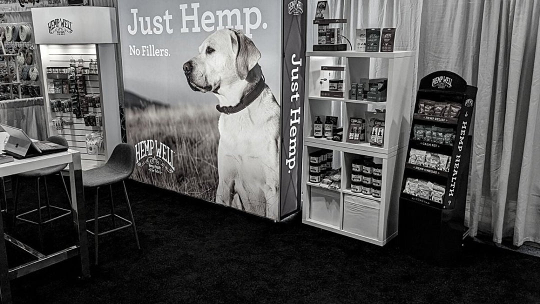 Global Pet Expo: What to expect and how Hemp Well made the most of it in 2022