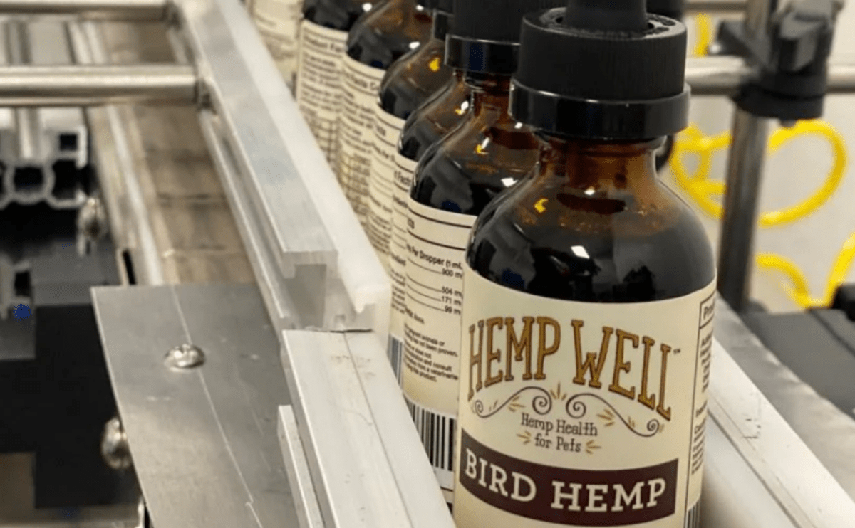 Bird Hemp in production Hemp Well