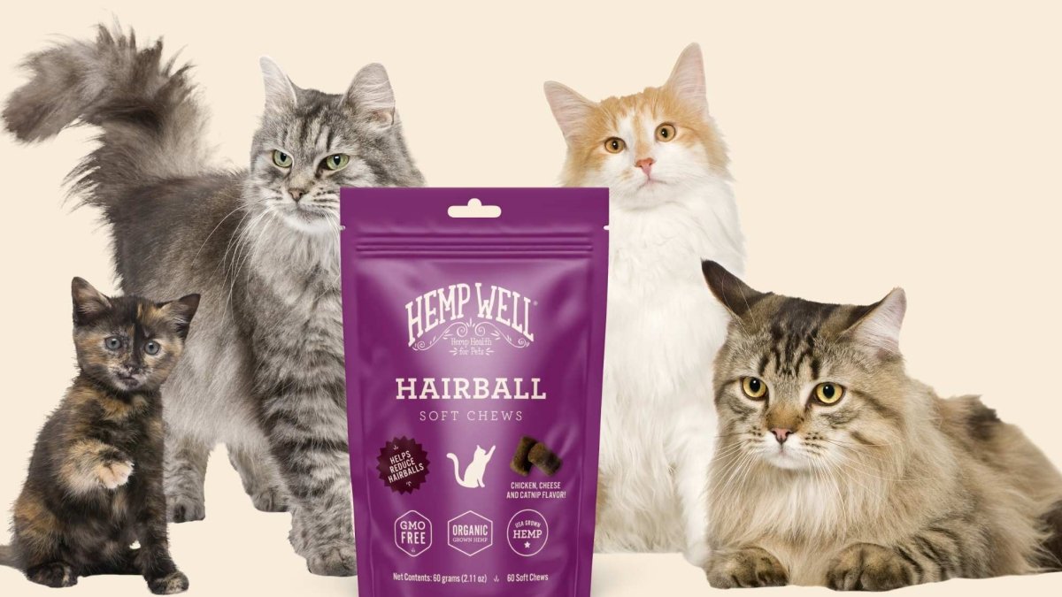 Helping Your Cat Deal with Hairballs - Hemp Well