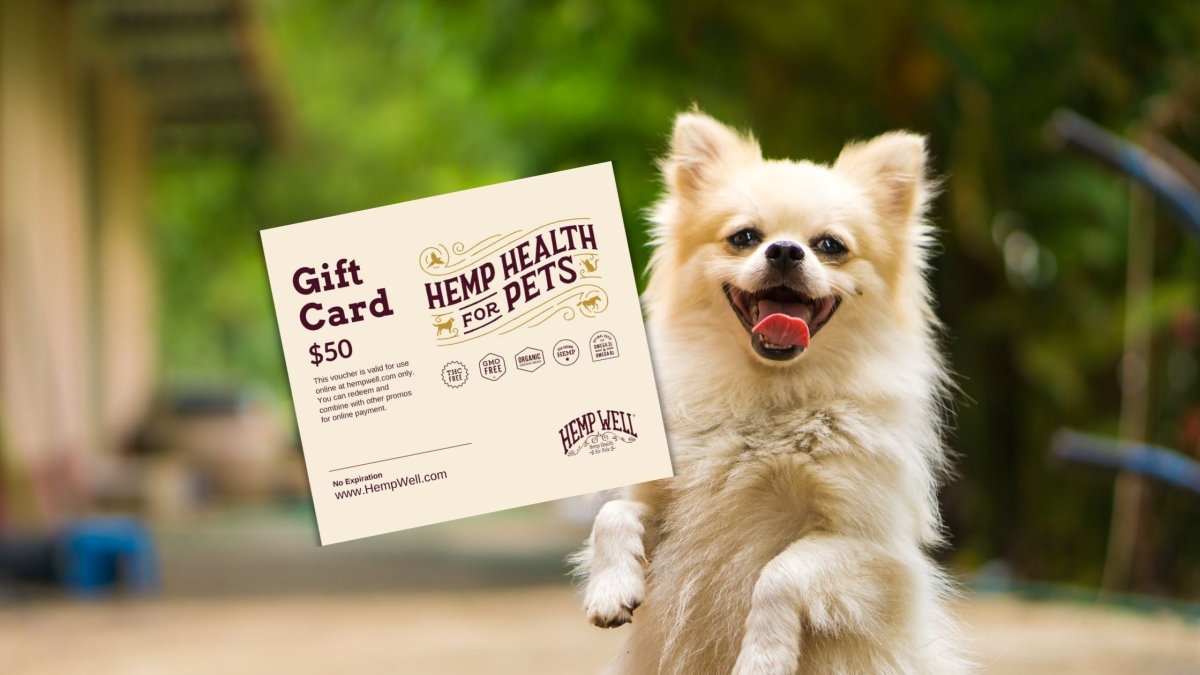 Hemp Well Gift Card: Share the Love of Hemp Health for Pets - Hemp Well