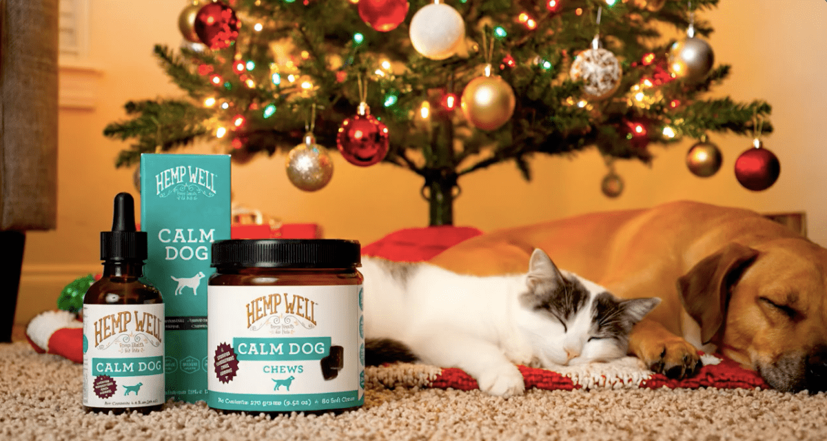 Holiday Calm for Dogs & Cats: A Relaxed Season Starts at Home