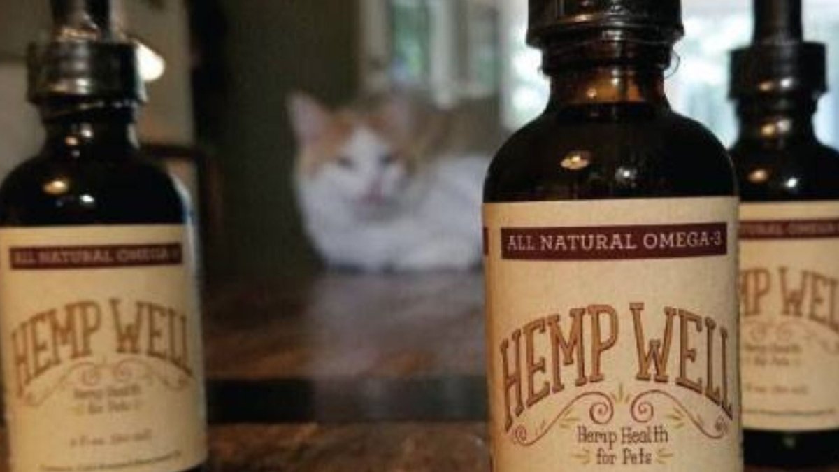 How CBD Oil Saved Our Cat and Started an Industry - Hemp Well